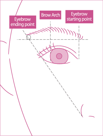 Create flawless, beautiful eyebrows by properly determining the location of the starting point, arch, and ending point of your eyebrows.
