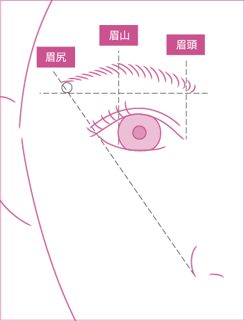 眉頭・眉山・眉尻の位置を正しく決めて描くポイントのイラスト