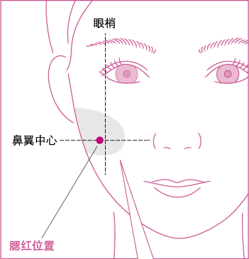 腮红位置