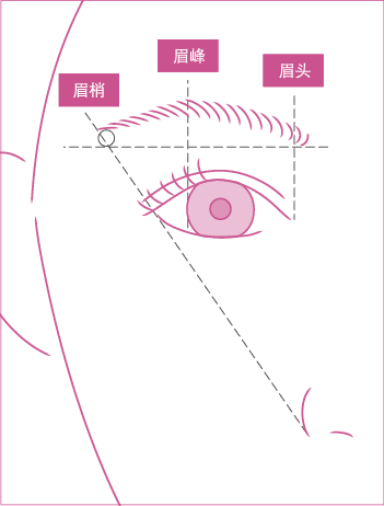 如果能正确决定眉头、眉峰、眉梢的位置，就能成功地画出漂亮的眉毛。