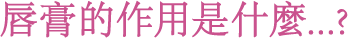 唇膏的作用是什麼...?