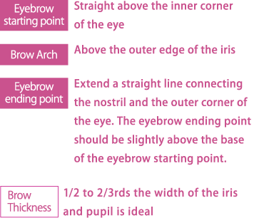 Create flawless, beautiful eyebrows by properly determining the location of the head, arch, and tail of your brows.