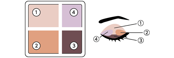 1.パレット左上の色をチップ（大）でアイホール全体にぬります。2.パレット右下の色をチップ（小）で目の際にぬります。3.パレット左下の色をチップ（大）で目尻側1/3程度にぬります。4.パレット右上の色ををチップ（小）で目頭側1/3程度にぬります。