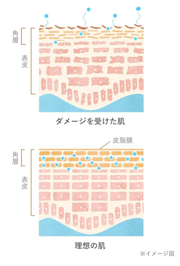 ダメージを受けた肌と理想の肌のイメージ図