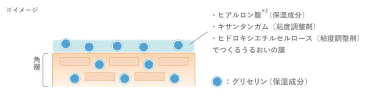 ヒアルロン酸（保湿成分）*3、キサンタンガム（粘度調整剤）、ヒドロキシエチルセルロース（粘度調整剤）でつくる、うるおいの膜のイメージ図