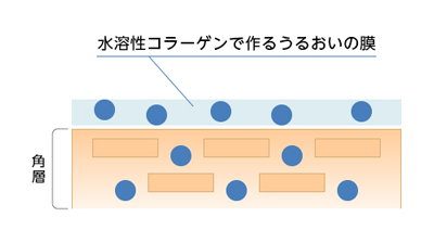 もっちり 保湿クリーム 商品特徴 イメージ画像